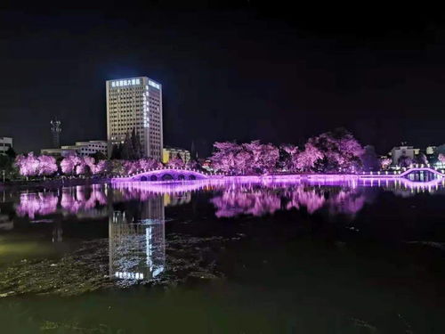 別端著，嗨起來！長豐六條精品旅游線路邀您來打卡
